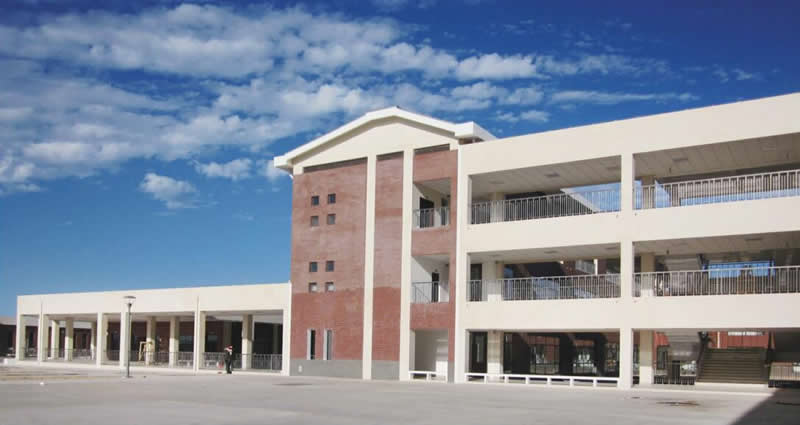 毛里塔尼亞項目